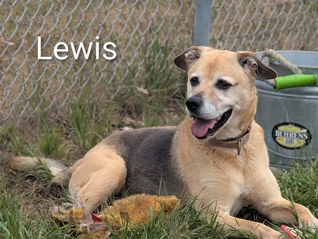 Lewis