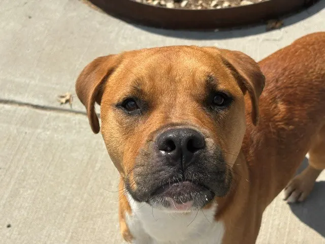 Rusty