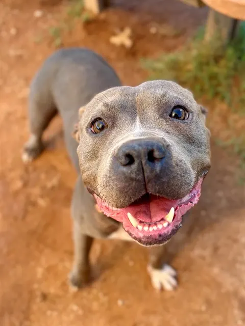 Wilma