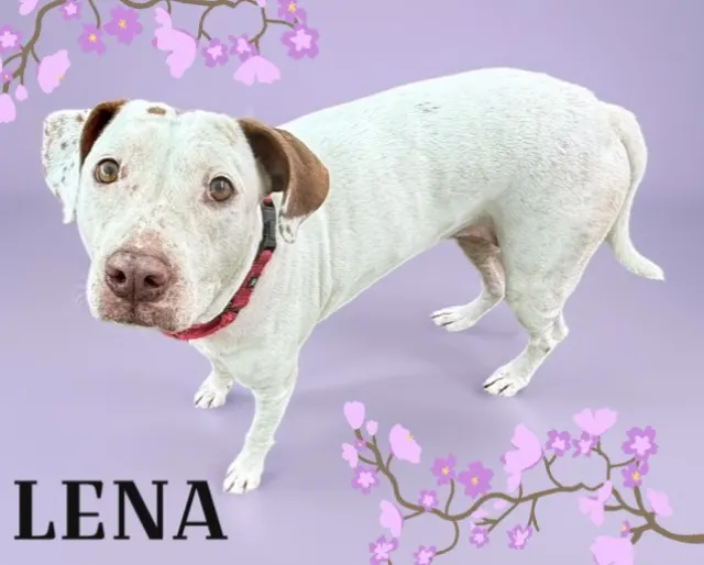 Lena