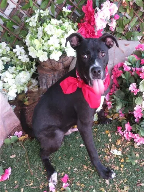 Oscar
