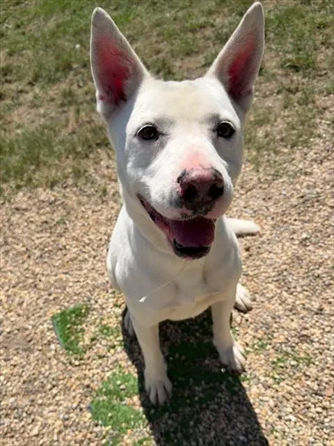 Maggie