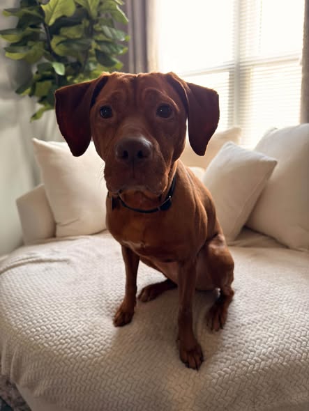 Chloe