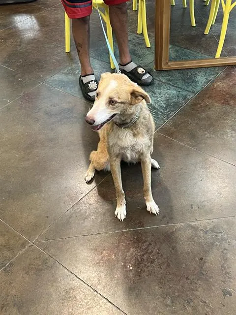 Luna