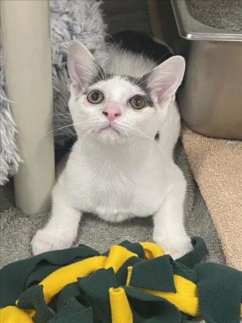 Kiki