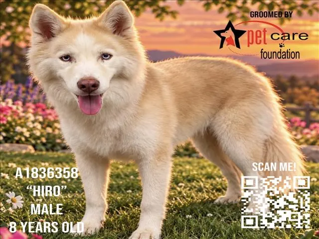 Hiro