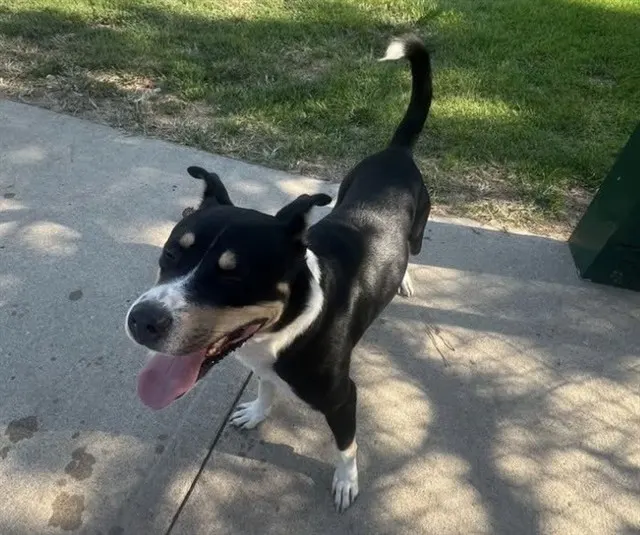 Max