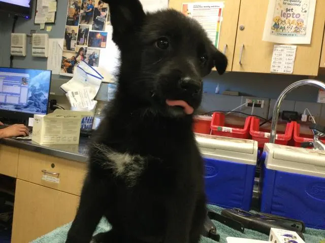 Luna