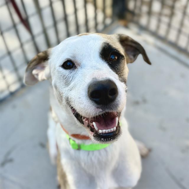 Luna