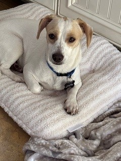Oliver