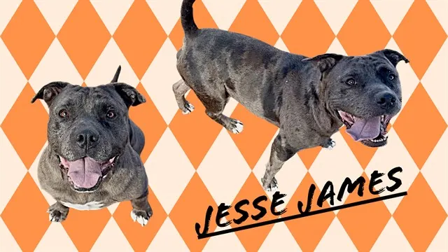 Jesse James