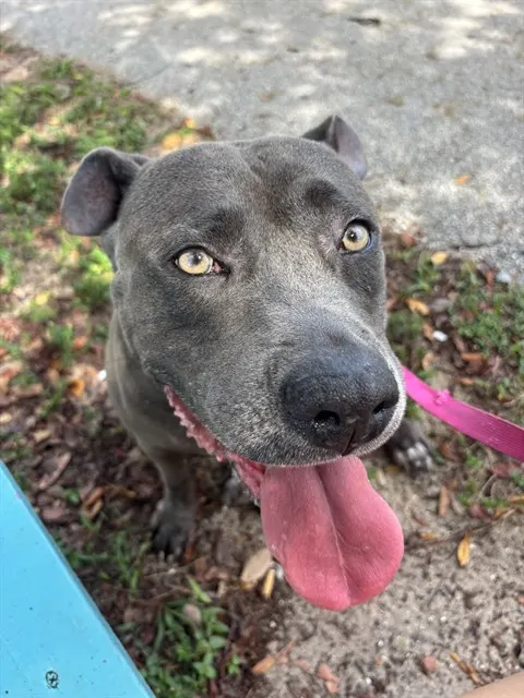 Matilda
