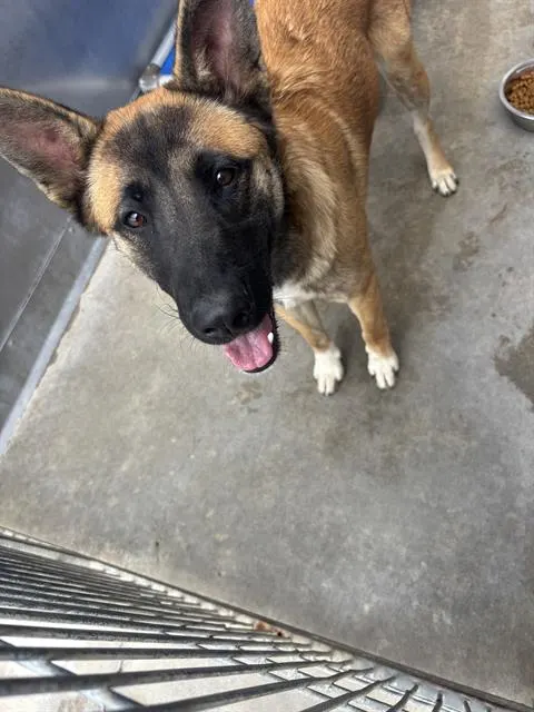 *Sam