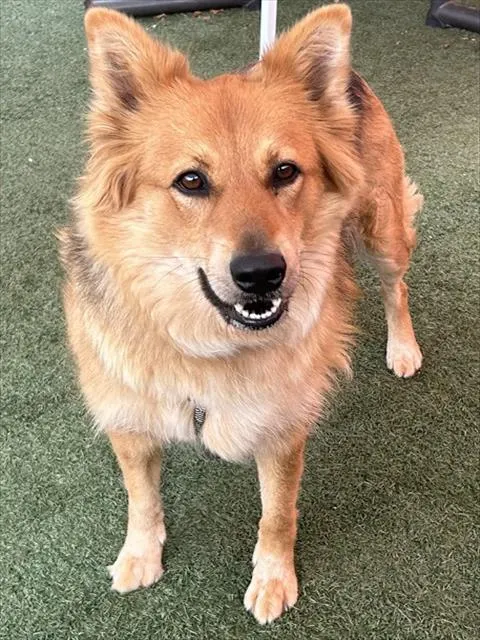 Jada