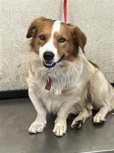 Walter