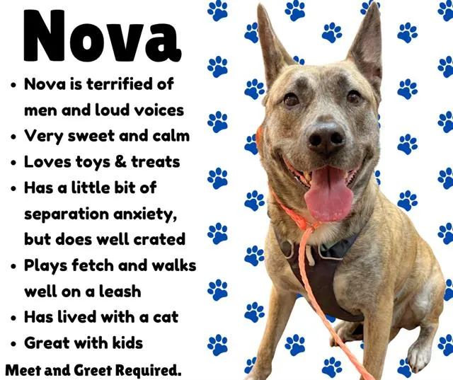 Nova