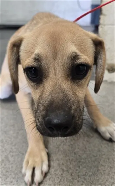 Sam