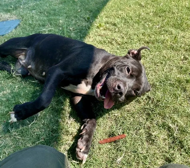 Roxy