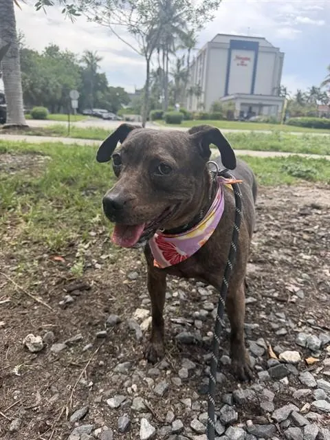 Mia