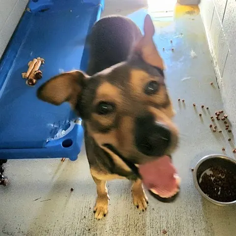 Sam