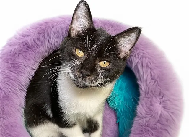 Tina