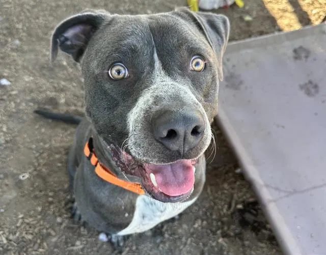 *Arturo