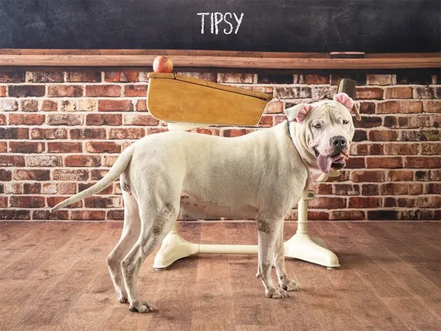 Tipsy