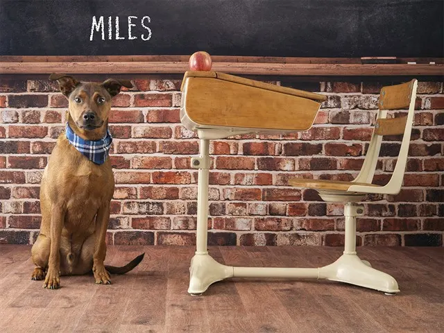 Miles