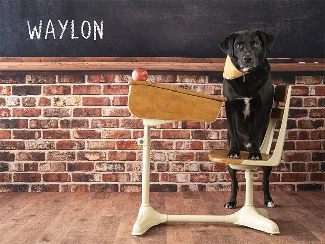 Waylon