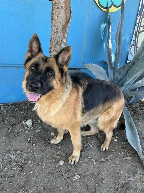 Julie