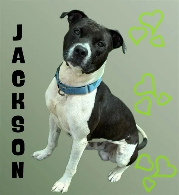 Jackson