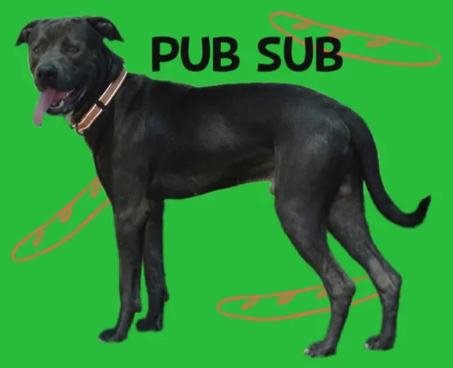 Pub Sub