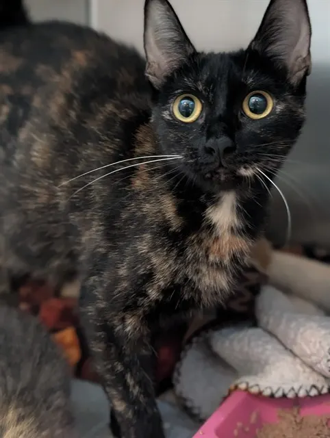 Mama Lucy