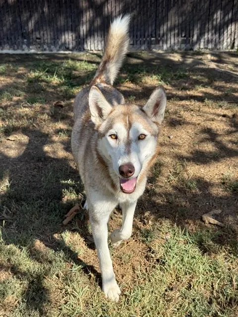 Luna