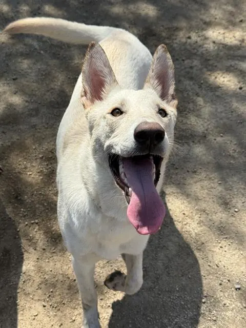 Luna