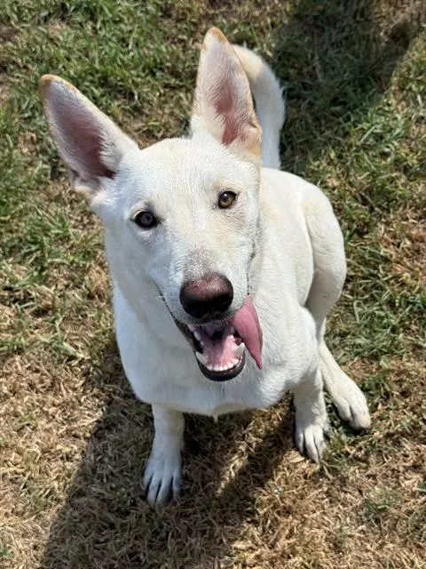 Luna