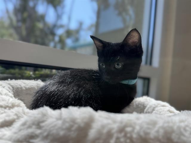Winnie