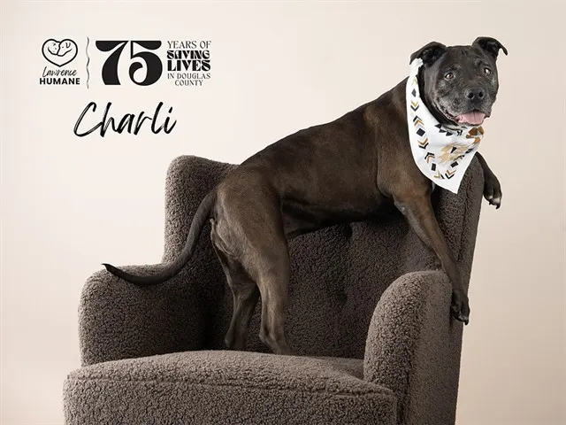 Charli