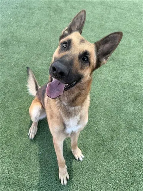 Max