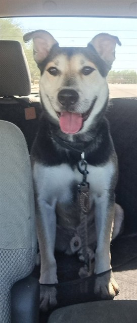 Oscar