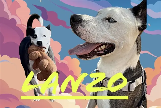 Lanzo