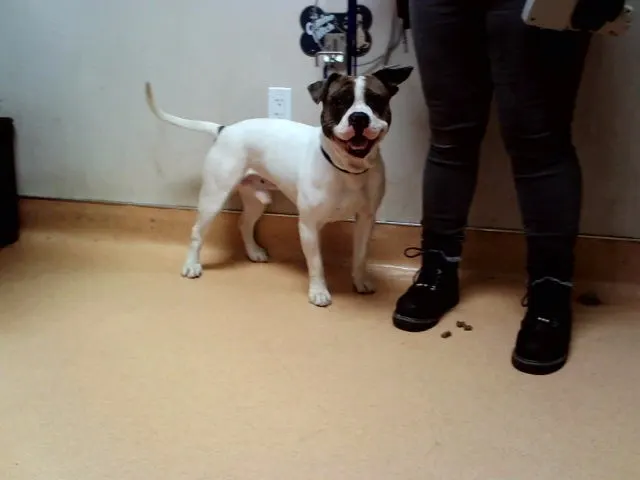 Maxx