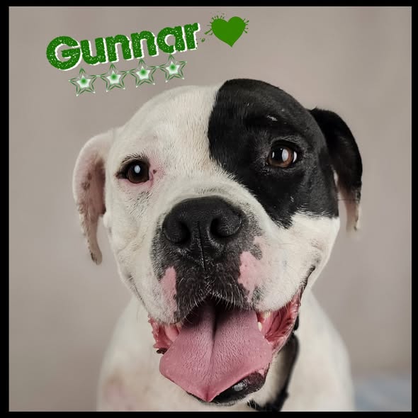 Gunnar