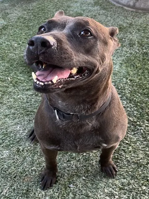 Gloria