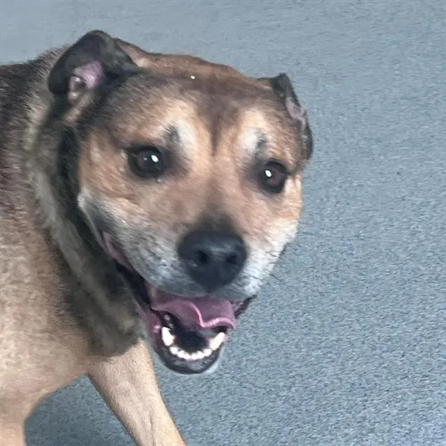 Roscoe