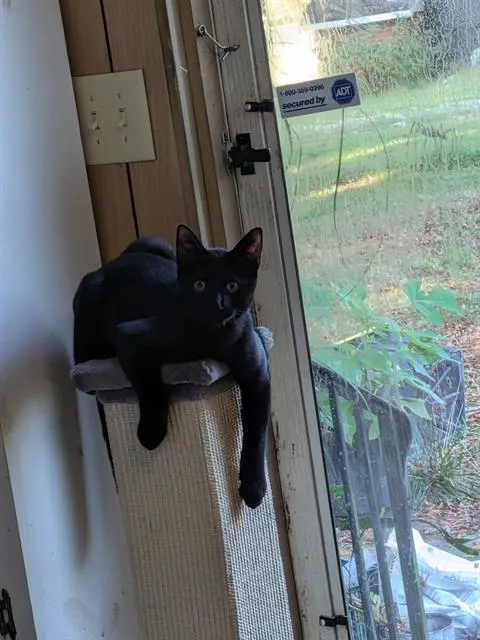 Benny