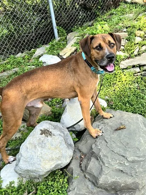 Zeus