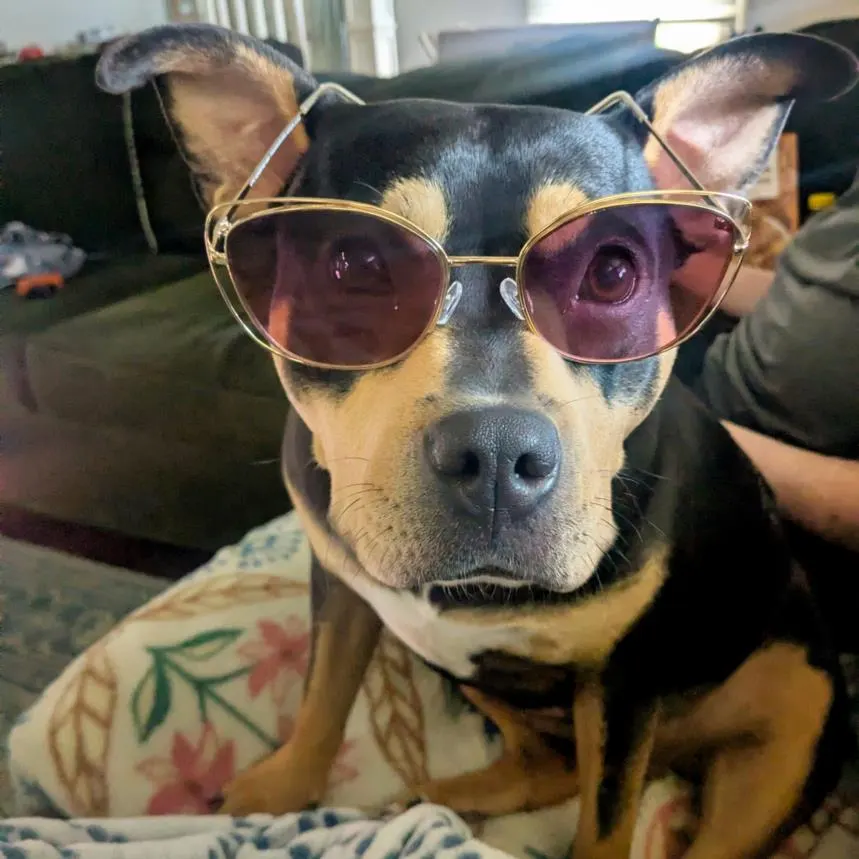 Debbie