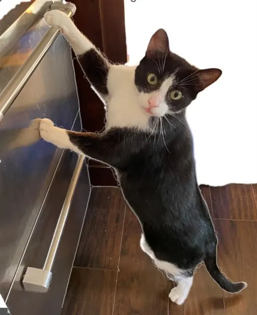 Max