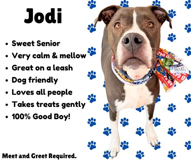Jodi